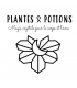 Sérum d'Etoile - Soin Visage à l'Edelweiss - Plantes & Potions